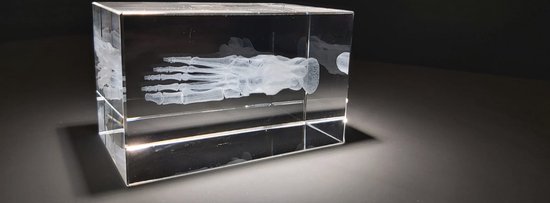 Modèle 3D du pied en brique de verre - squelette anatomique du pied