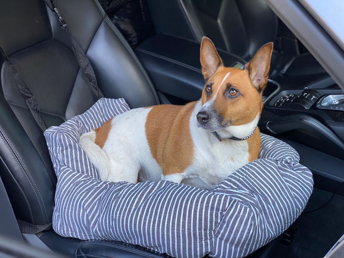 babideal autostoel handleiding