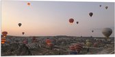 WallClassics - Vlag - Luchtballonnen boven Bergachtig Landschap - 100x50 cm Foto op Polyester Vlag