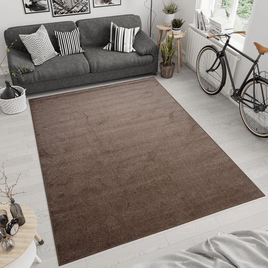 Tapiso Tapis Noyan Tapis Tapis de salon marron à poils ras Taille - 200x300