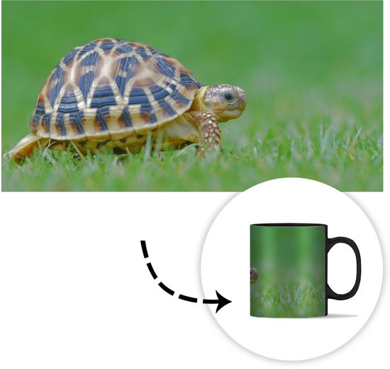 Magic Mug - Photo Heat Mug - Turtle on Grass - 350 ML - Sinterklaas Gift - Noël Presents - Shoes Presents - Handout Presents