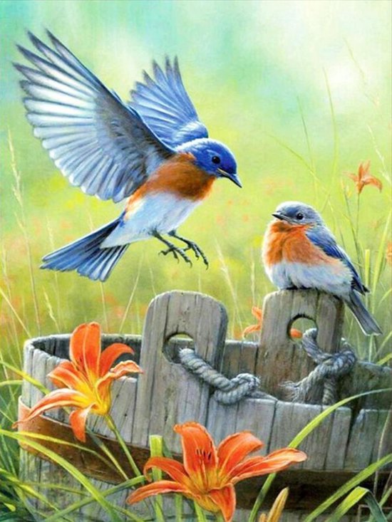Diamond painting 30x40cm vogels in de natuur ronde steentjes