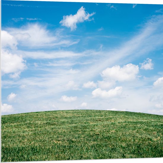 WallClassics - Verre Acrylique - Ciel Clair avec Nuages ​​sur Grass Hill - 80x80 cm Photo sur Verre Acrylique (Décoration murale sur Acrylique)