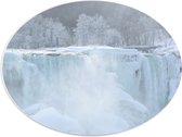 WallClassics - PVC Schuimplaat Ovaal - Witte Winter Waterval - 40x30 cm Foto op Ovaal  (Met Ophangsysteem)