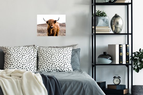 Poster Highlander écossais - Paysage - Vache - Marron - Animaux - Nature - 40x30 cm