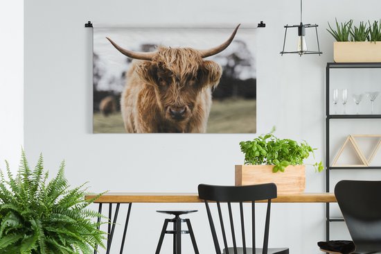 Tapisserie Scottish Highlanders - Scottish Highlander de près Tapisserie coton 120x80 cm - Tapisserie avec photo