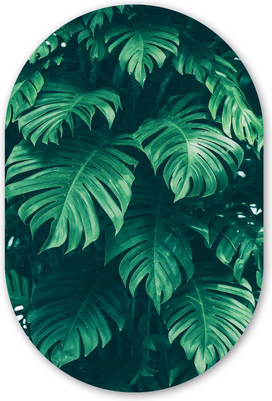 Muurovaal - Wandovaal - Kunststof Wanddecoratie - Ovalen Schilderij - Monstera - Bladeren - Planten - Jungle - Natuur - 40x60 cm - Ovale spiegel vorm op kunststof