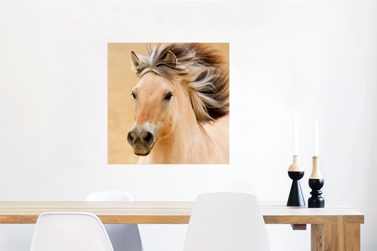 Affiche Paarden - Animaux - Crinières - Portrait - 50x50 cm