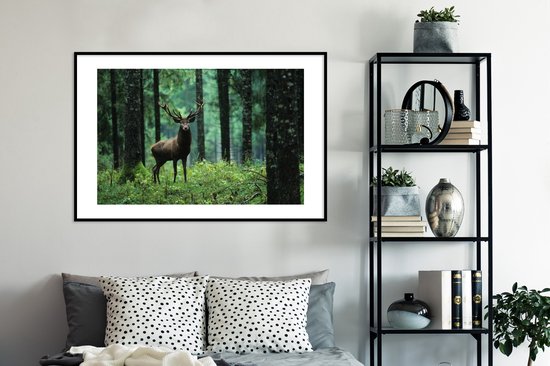 Cadre photo avec affiche - Cerf - Forêt - Arbres - Animaux - Nature - 120x80 cm - Cadre pour affiche