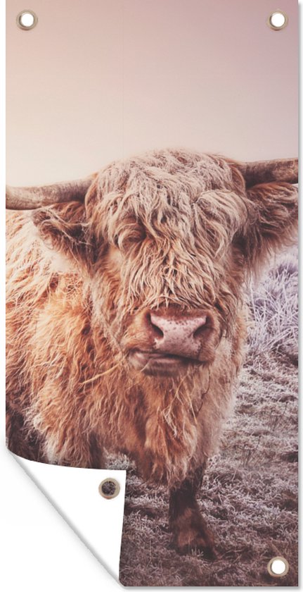 Poster de jardin Highlanders écossais - Lumière - Air - Nature - 40x80 cm - Décoration murale Outdoor - Poster de jardin - Toile de jardin - Poster de clôture - Tableau de jardin