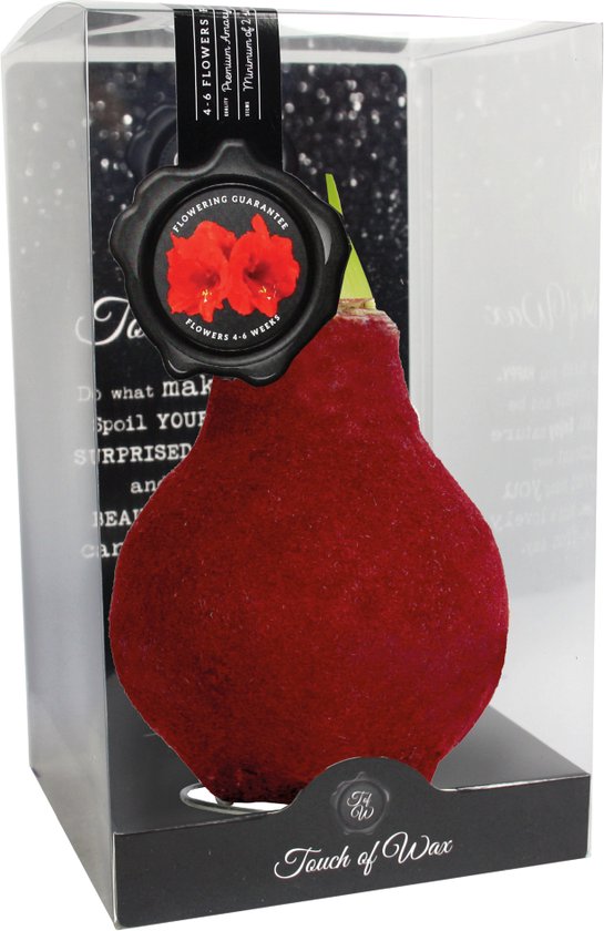 HACCP Schrobber 280 x 50 mm hard rood | King Food