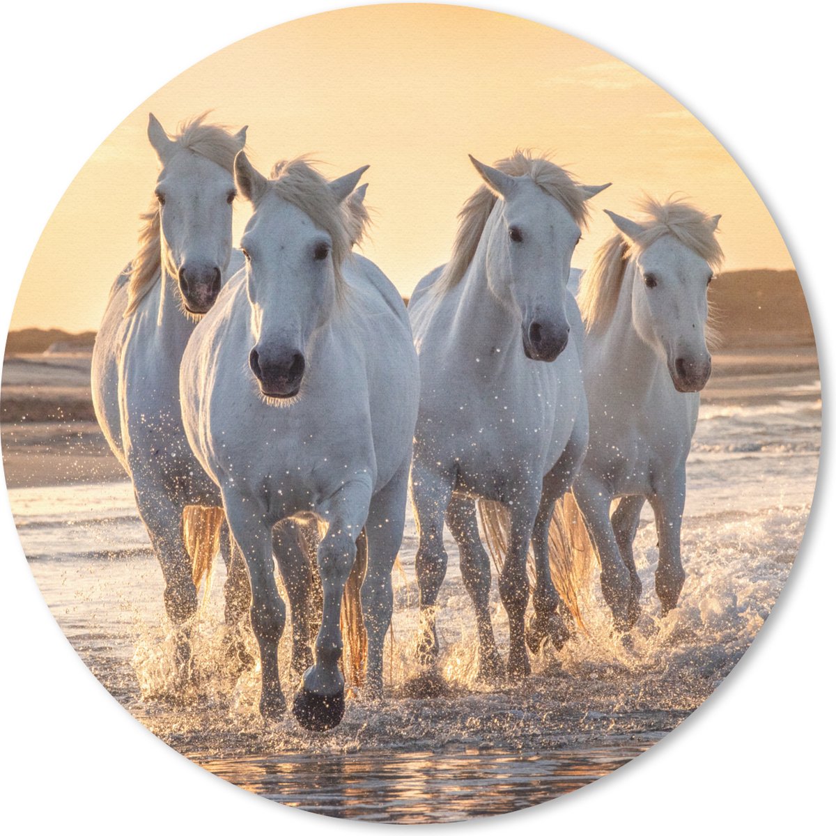 Muismat rond 30x30 cm - Mousepad Paarden - Water - Strand - Dieren - Ronde muismatten