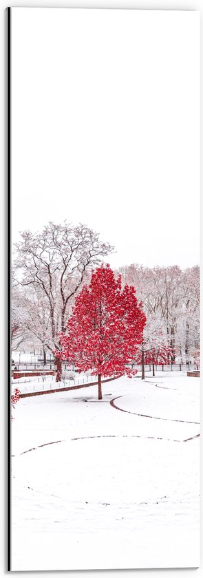 WallClassics - Dibond - Rode Boom in Witte Sneeuw - 20x60 cm Foto op Aluminium (Wanddecoratie van metaal)