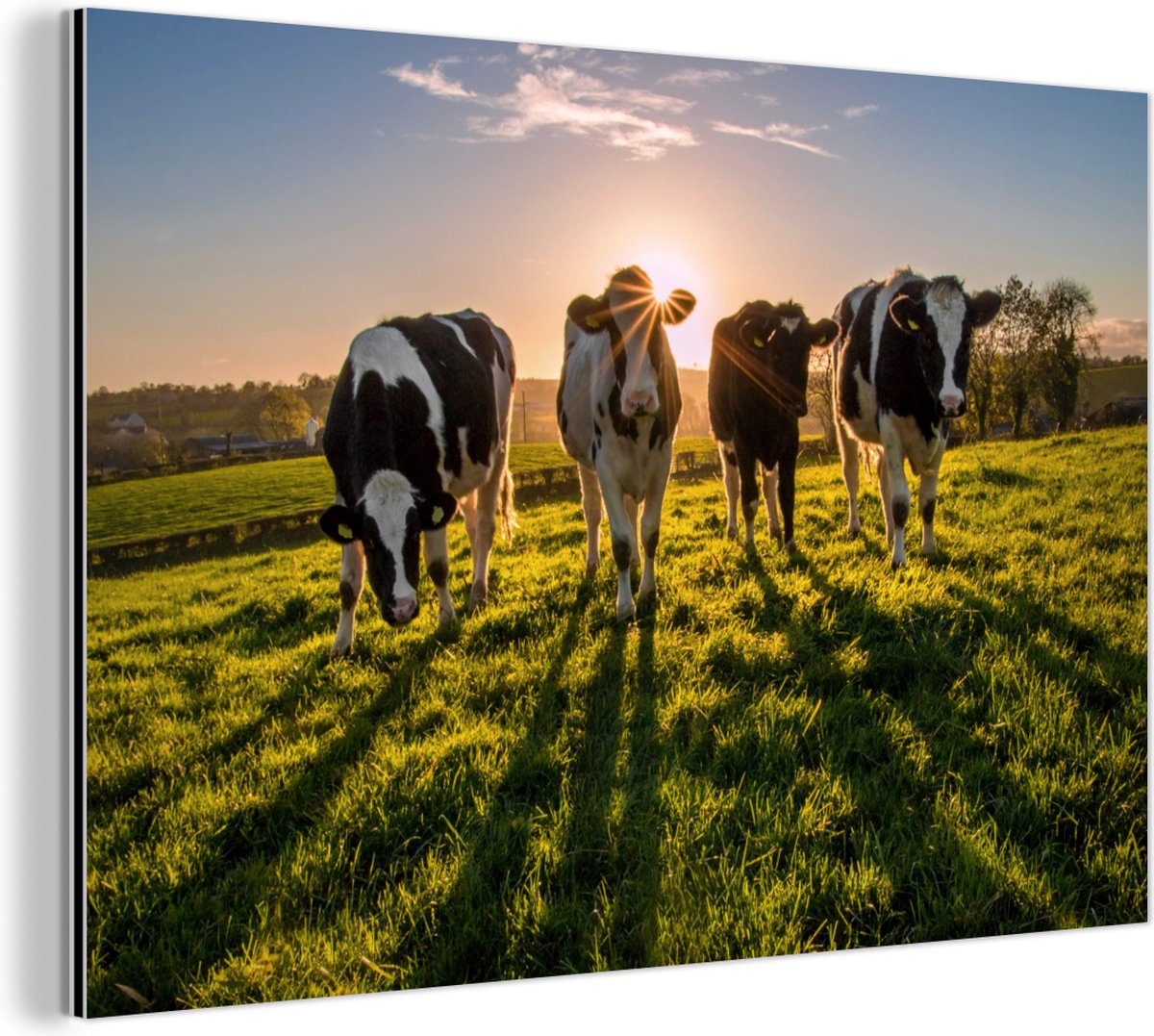 Plaque Ronde En Métal À Thème Vache Ferme Charmant Cadeau