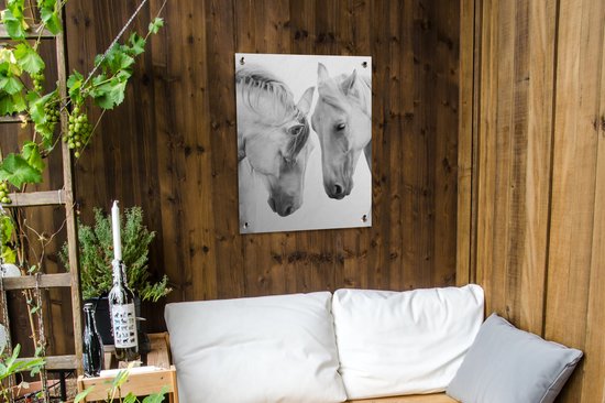 Tableau jardin Cheval - Animaux - Portrait - Wit - 60x80 cm - Affiche jardin - Toile jardin - Affiche extérieur