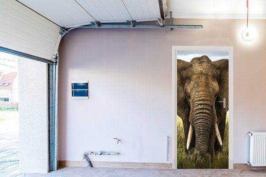 Sticker pour porte Éléphant - Nature - Herbe - Animaux - Paysage - 90x205 cm - Affiche de porte