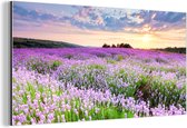 Wanddecoratie Metaal - Aluminium Schilderij Industrieel - Lavendel - Bloemen - Zonsondergang - Paars - Weide - 40x20 cm - Dibond - Foto op aluminium - Industriële muurdecoratie - Voor de woonkamer/slaapkamer