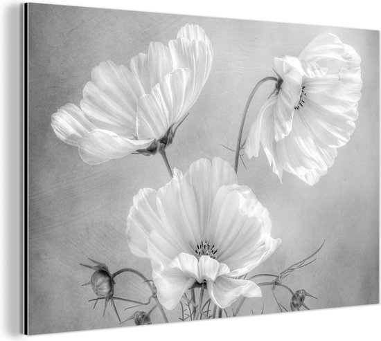 Wanddecoratie Metaal - Aluminium Schilderij Industrieel - Stilleven - Bloemen - Zwart wit - Klaproos - Botanisch - 120x80 cm - Dibond - Foto op aluminium - Industriële muurdecoratie - Voor de woonkamer/slaapkamer