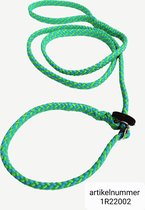 Abany quality design – 1,80 mtr groen blauw - jachtlijn - dubbele stop - retrieverlijn - gentle leader - lijn leiband met halsband - sliplijn met stop – half slip - puppylijn - vanglijn - mantrailing - 1R22002