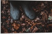 WallClassics - Dibond - Regenlaarsjes in Herfstbladeren - 75x50 cm Foto op Aluminium (Met Ophangsysteem)