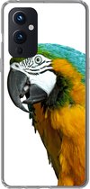 Geschikt voor OnePlus 9 hoesje - Papegaai - Vogel - Veren - Portret - Siliconen Telefoonhoesje