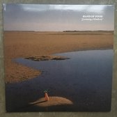 Hand Of Food - Swimming Mindlessly (LP)