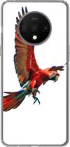 Geschikt voor OnePlus 7T hoesje - Ara - Vogel - Portret - Siliconen Telefoonhoesje