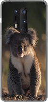 Geschikt voor OnePlus 8 Pro hoesje - Koala - Zon - Dier - Kids - Jongens - Meiden - Siliconen Telefoonhoesje