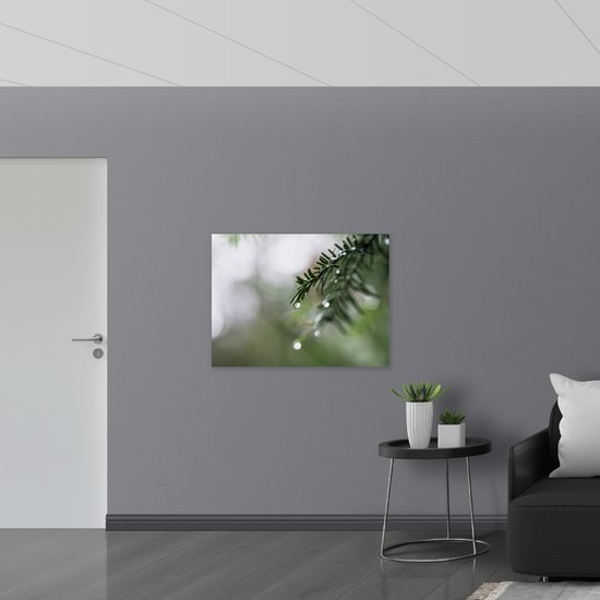 WallClassics - Drapeau - Gouttes de pluie sur une branche de pin - 100x75 cm Photo sur drapeau en polyester