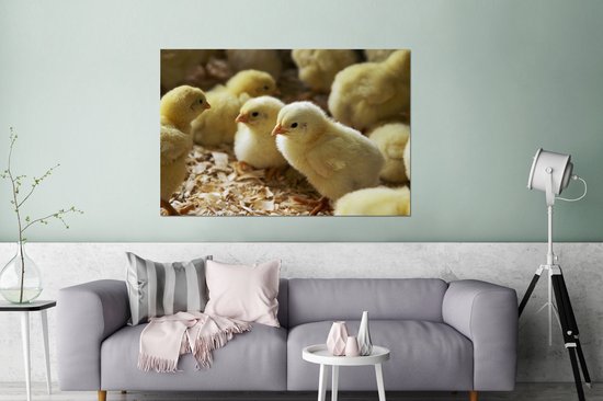 Bébé dans la sciure Aluminium 180x120 cm - impression photo sur aluminium (décoration murale en métal) XXL / Groot format!