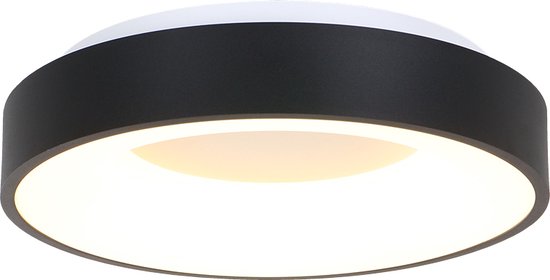 Plafondlamp Steinhauer Ringlede - Zwart