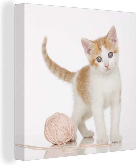 Canvas Schilderij Kitten met wol - 50x50 cm - Wanddecoratie