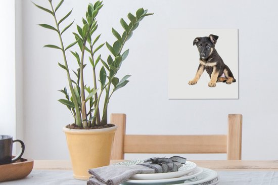 Assis sur toile de chiot berger allemand 2cm 20x20 cm - petit - Tirage photo sur toile (Décoration murale salon / chambre) / Peintures sur toile pour Animaux domestiques