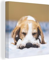 Canvas Schilderij Slapende beagle puppy op een bed - 20x20 cm - Wanddecoratie