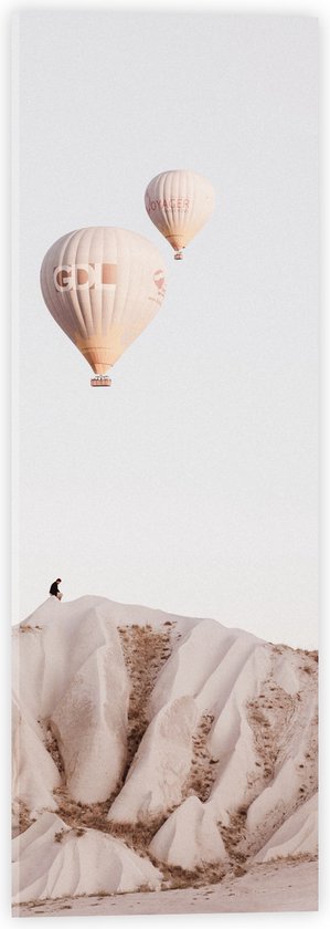 WallClassics - Acrylglas - Twee Beige Luchtballonnen boven Beige Landschap - 20x60 cm Foto op Acrylglas (Wanddecoratie op Acrylaat)