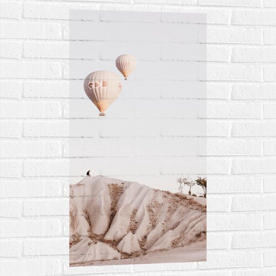 WallClassics - Muursticker - Twee Beige Luchtballonnen boven Beige Landschap - 50x100 cm Foto op Muursticker
