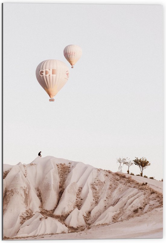WallClassics - Dibond - Twee Beige Luchtballonnen boven Beige Landschap - 70x105 cm Foto op Aluminium (Wanddecoratie van metaal)