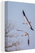Canvas Schilderij Twee Europese kraanvogels vliegen in de lucht - 30x40 cm - Wanddecoratie