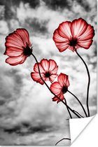 Poster Bloemen - Zwart - Wit - Rood - 20x30 cm