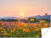 Poster Bloemen - Zonsondergang - Berg - 40x30 cm