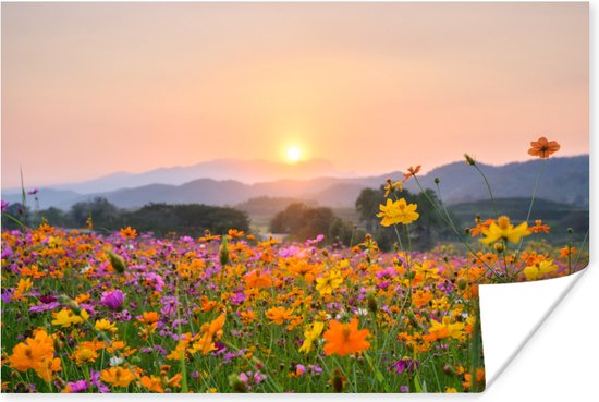 Poster Bloemen - Zonsondergang - Berg - 90x60 cm