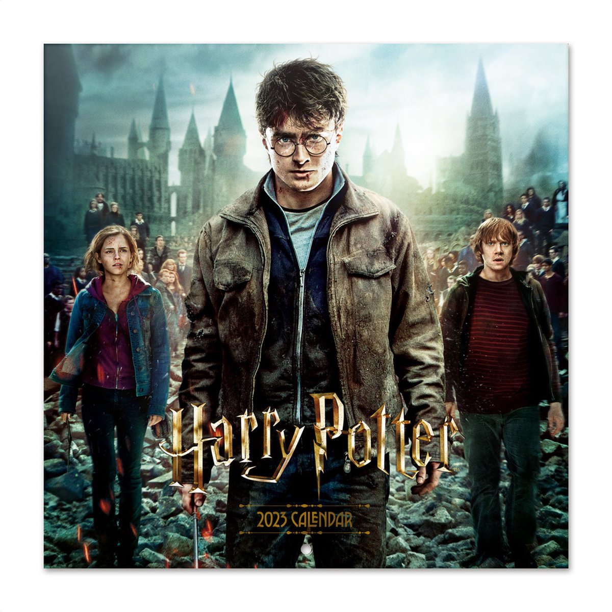 Kalender - Harry Potter 2023 - Voldemort - Ron - Hermione - formaat 30 x 30 cm.