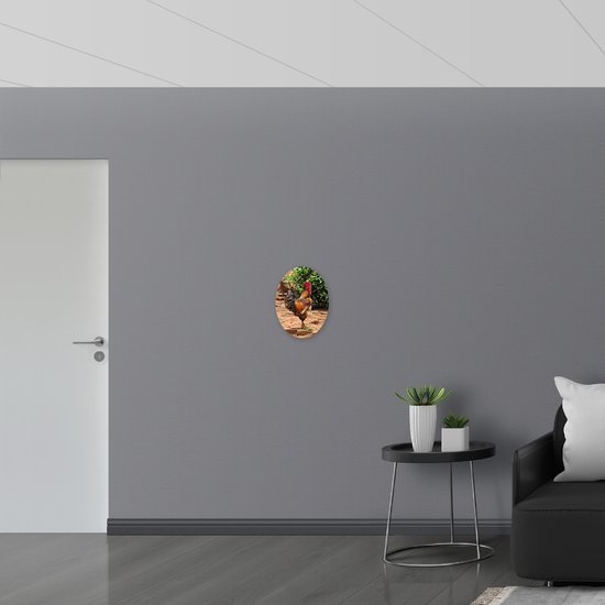WallClassics - PVC Schuimplaat Ovaal - Haan in de Tuin - 30x40 cm Foto op Ovaal  (Met Ophangsysteem)