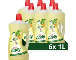 Andy Citrus Allesreiniger - 6 x 1 L - Voordeelverpakking