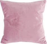 Cushion Tender Velvet Q1-21