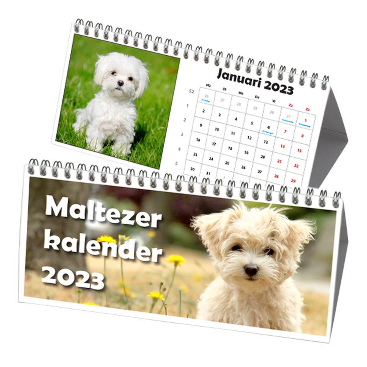 Maltezer Driehoek Bureau Kalender 2023