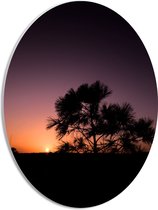 WallClassics - PVC Schuimplaat Ovaal - silhouet van Zonsondergang achter Boompje - 30x40 cm Foto op Ovaal  (Met Ophangsysteem)
