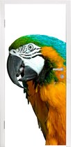 Deursticker Papegaai - Vogel - Veren - Portret - 95x215 cm - Deurposter