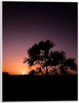 WallClassics - PVC Schuimplaat - silhouet van Zonsondergang achter Boompje - 30x40 cm Foto op PVC Schuimplaat (Met Ophangsysteem)