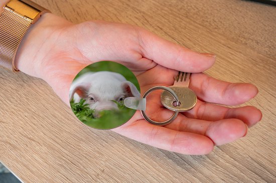 Porte-clés - Cochon - Animaux - Porcinet - Plastique - Rond - Distribution cadeaux